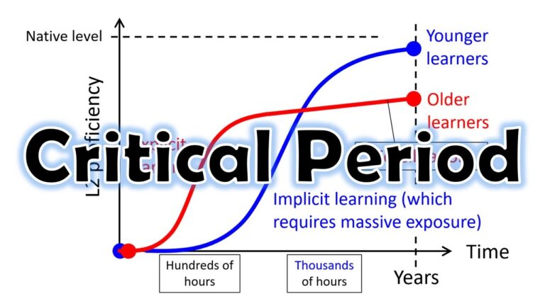 the critical period hypothesis is linked to which theory